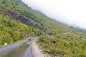дорога вдоль Скадарского озера